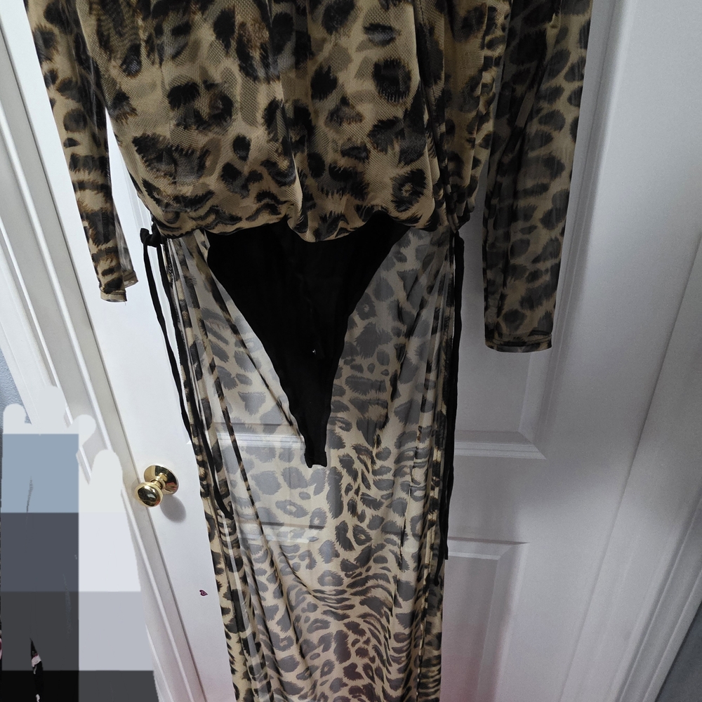 Liliana Leopard Print Long Sleeve Dress - Picture 3 of 6